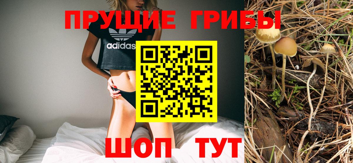 Галлюциногенные грибы GOLDEN TEACHER Нерюнгри